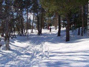 down and out trail at black mountain