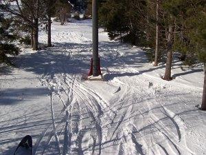 down under trail at black mountain