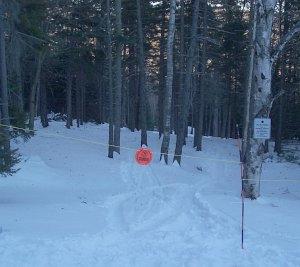 black forest trail at black mt