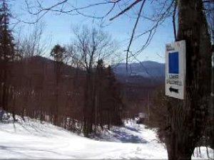 lower speedwell ski trail