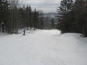 Upper Speedwell