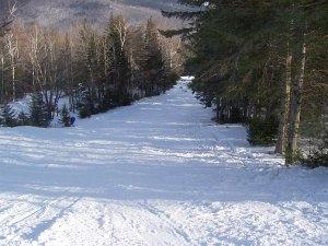 Spruce Trail at Black Mountain