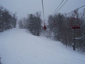 Maple Slalom Chute