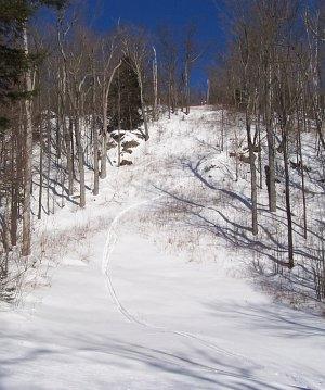 mr rew trail at black mt