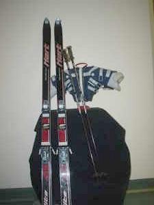 old skis from craigslist