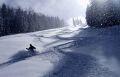 Pajarito ski area