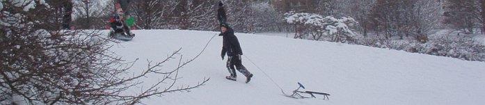 sleigh riding in eastern europe