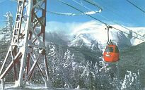 the old gondola at wildcat